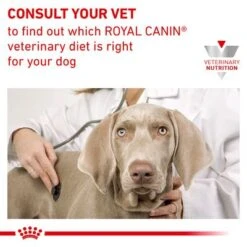 Royal Canin Veterinary Dog - Gastrointestinal Low Fat 19 Royal Canin Veterinary Dog - Gastrointestinal Low Fat -EUKANUBA Shop rc vet dry doggastrolf eretailkit b1 page 9 0