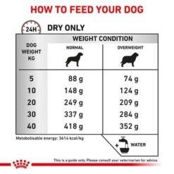 Royal Canin Veterinary Dog - Gastrointestinal Moderate Calorie 15 Royal Canin Veterinary Dog - Gastrointestinal Moderate Calorie -EUKANUBA Shop rc vet dry doggastromc eretailkit b1 page 6 4
