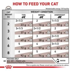 Royal Canin Veterinary Feline Gastrointestinal Pouches 14 Royal Canin Veterinary Feline Gastrointestinal Pouches -EUKANUBA Shop rc vet wet catgastromcmig eretailkit b1 page 6 2