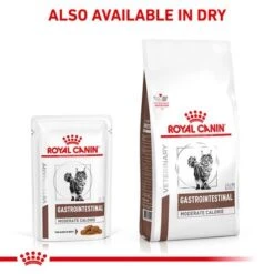 Royal Canin Veterinary Feline Gastrointestinal Pouches 16 Royal Canin Veterinary Feline Gastrointestinal Pouches -EUKANUBA Shop rc vet wet catgastromcmig eretailkit b1 page 8 7
