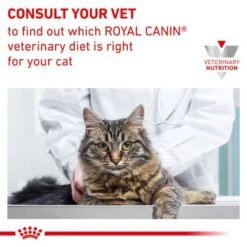 Royal Canin Veterinary Feline Skin & Coat In Gravy -EUKANUBA Shop rc vet wet catskincoat b1 page 8 1