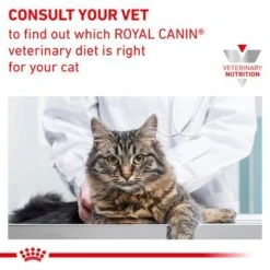 Royal Canin Veterinary Urinary S/O Moderate Calorie 15 Royal Canin Veterinary Urinary S/O Moderate Calorie -EUKANUBA Shop rc vet wet caturinarysomc eretailkit b1 page 9 9