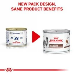 Royal Canin Veterinary Dog & Cat – Recovery Mousse 9 Royal Canin Veterinary Dog & Cat – Recovery Mousse -EUKANUBA Shop rc vet wet mixrecov200g eretailkit b1 page 2 8