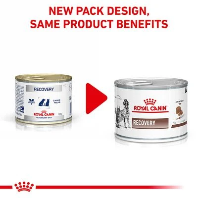Royal Canin Veterinary Dog & Cat – Recovery Mousse 4 Royal Canin Veterinary Dog & Cat – Recovery Mousse - Image 2