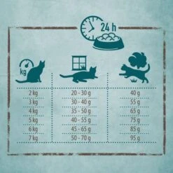 Rosie's Farm Fisherman's Medley Salmon & Sweet Potato -EUKANUBA Shop rosiesfarm board feeding 01 1000x1000 8