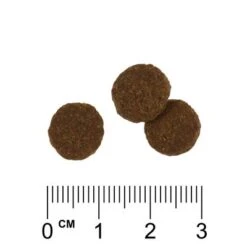 Rosie's Farm Fisherman's Medley Salmon & Sweet Potato -EUKANUBA Shop rosiesfarm trockenfutter detail2 9