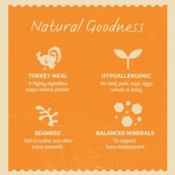 James Wellbeloved Puppy & Junior Pouches - Turkey With Rice 11 James Wellbeloved Puppy & Junior Pouches - Turkey With Rice -EUKANUBA Shop s49c1r9bmmcm6fmj6uzz 2048x 8