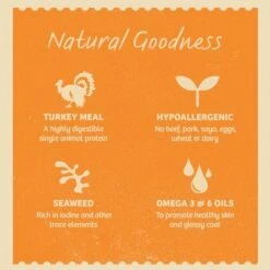 James Wellbeloved Adult Pouches - Turkey With Rice -EUKANUBA Shop trwv9mnyfrbgsant98k4 2048x 0