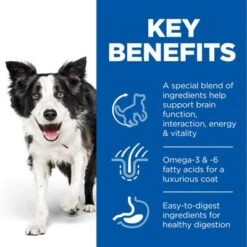 Hill's Science Plan Hill’s Science Plan Adult 7+ Youthful Vitality Medium With Chicken 13 Hill's Science Plan Hill’s Science Plan Adult 7+ Youthful Vitality Medium With Chicken -EUKANUBA Shop uk dog ma medium yv chicken transition benefits 2