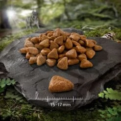 Wolf Of Wilderness "Rocky Canyons" - Beef -EUKANUBA Shop wow adult monoprotein elements rocky canyons rind 753365 0 15 17 mm 7