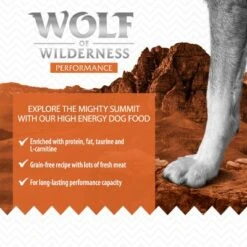 Wolf Of Wilderness "Explore The Mighty Summit" - Performance -EUKANUBA Shop wow board1 performance 800x800 3