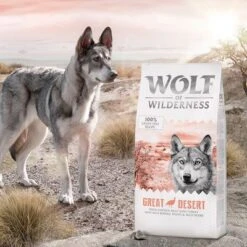 Wolf Of Wilderness Adult "Great Desert" - Turkey -EUKANUBA Shop wow classic greatdesert 12kg 4