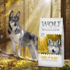 Wolf Of Wilderness Adult "Sunny Glade" - Venison -EUKANUBA Shop wow classic sunnyglade 12kg 6