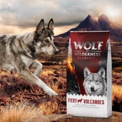 Wolf Of Wilderness "Fiery Volcanoes" - Lamb -EUKANUBA Shop wow elements fieryvolcanoes 12kg 3