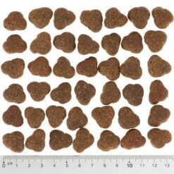 Wolf Of Wilderness "The Taste Of The Savanna" - With Beef & Goat 17 Wolf Of Wilderness "The Taste Of The Savanna" - With Beef & Goat -EUKANUBA Shop wow kroketten 7 20 fg 1762 2