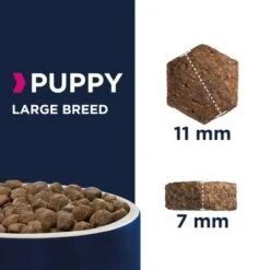 Eukanuba Puppy Large Breed Chicken -EUKANUBA Shop xxxx puppy largebreed kibble 5