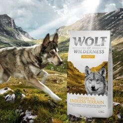 Wolf Of Wilderness "Explore The Endless Terrain" - Mobility -EUKANUBA Shop zop 20 119 wolf of wilderness explore endless terrain 1000x1000 c 4